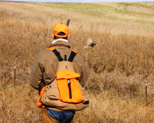 Anthony-Hauck-ND-Pheasant2-yes-courtesy-Anthony-Hauck