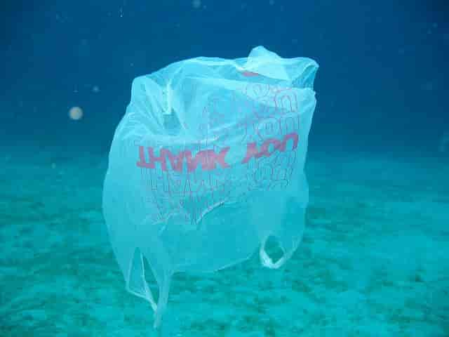 plasticbag