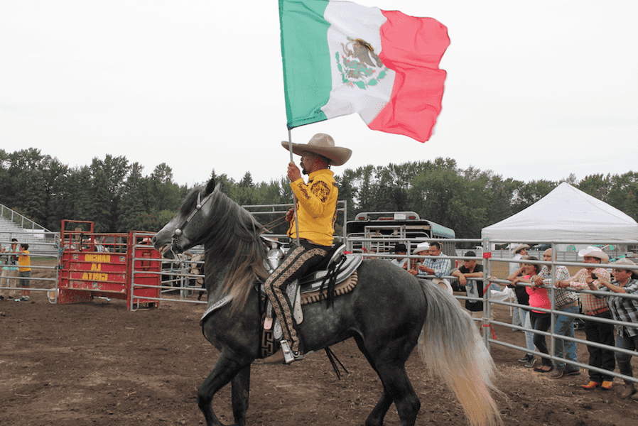 Jaripeo