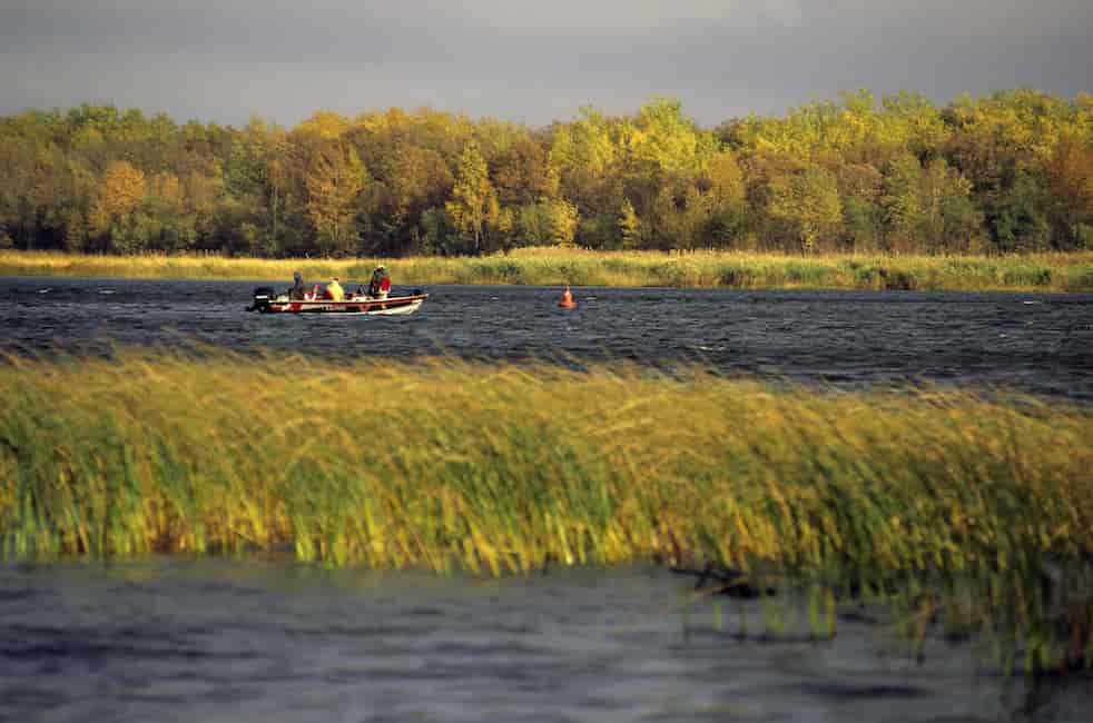 Pescando en las orillas del Rainy River de Lake of the Woods