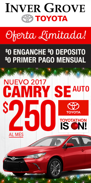 igt-camry-300x600-dec-spanish