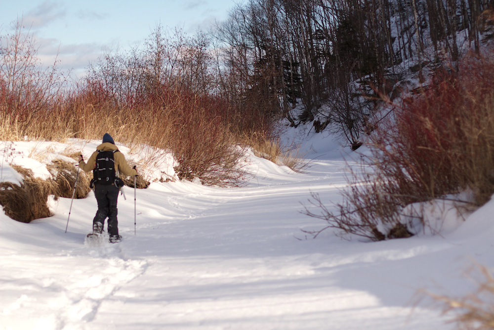 palisade-winter-snowshoe-around-river-bend-2016_alyssa-hei-1-of-1