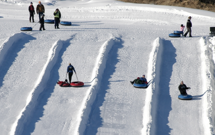 Paseo de mushing nieve en Cerler 15 minutos desde 22€ 